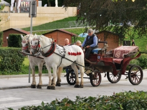 Krynica Zdrój 2025 r.