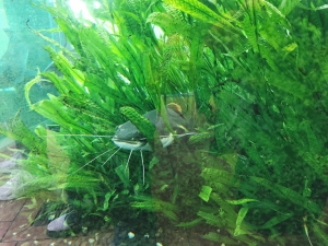 14.05.2025 r.