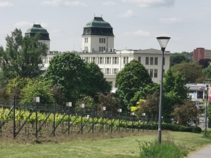 14.05.2025 r.