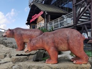 Krynica Zdrój 2025 r.