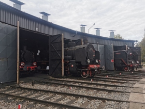 Wolsztyn - 2.10.2025 r.