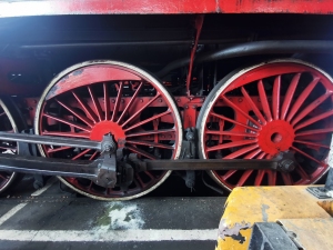 Wolsztyn - 2.10.2025 r.