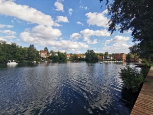 Piknik jesienny 2026